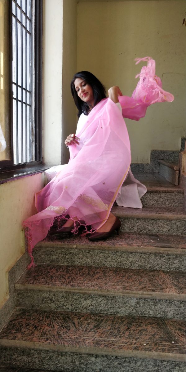 Dupatta Kota Silk Pita Work - Image 4